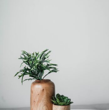Trouvez le vase en bois idéal pour votre déco intérieure